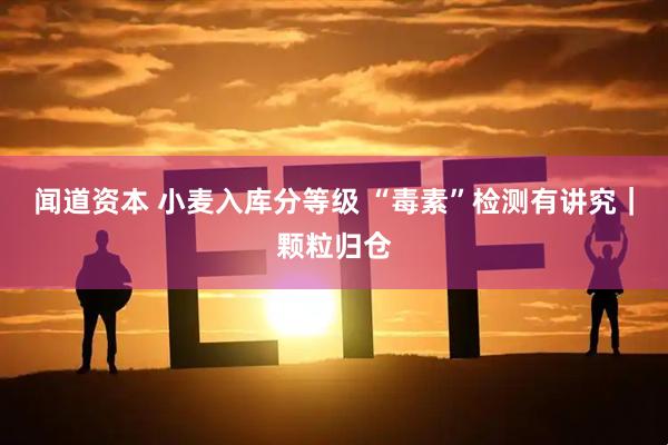 闻道资本 小麦入库分等级 “毒素”检测有讲究｜颗粒归仓