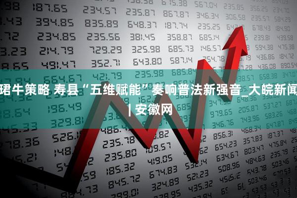 珺牛策略 寿县“五维赋能”奏响普法新强音_大皖新闻 | 安徽网