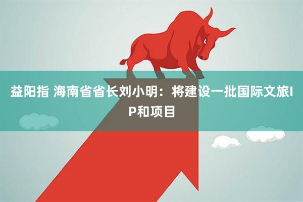 益阳指 海南省省长刘小明：将建设一批国际文旅IP和项目