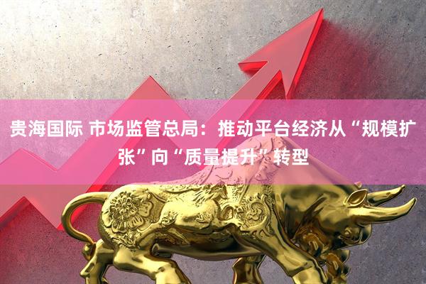 贵海国际 市场监管总局：推动平台经济从“规模扩张”向“质量提升”转型